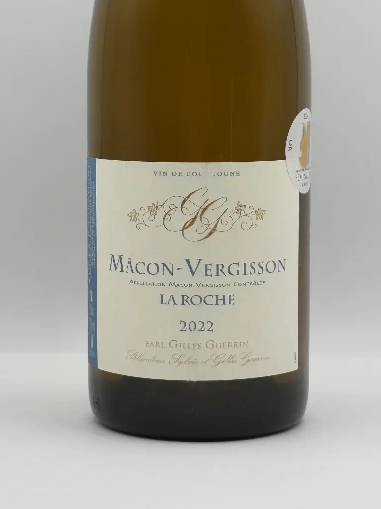 Gilles Guerrin - la roche 2022 - Macon 02.webp