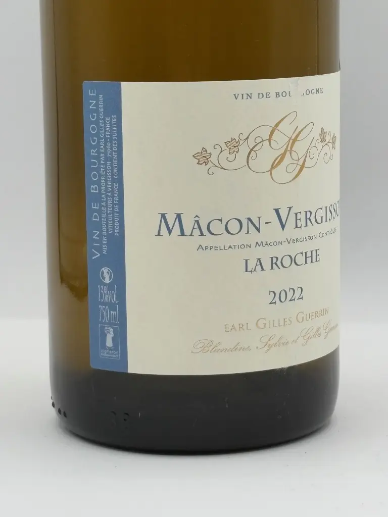 Gilles Guerrin - la roche 2022 - Macon 03.webp
